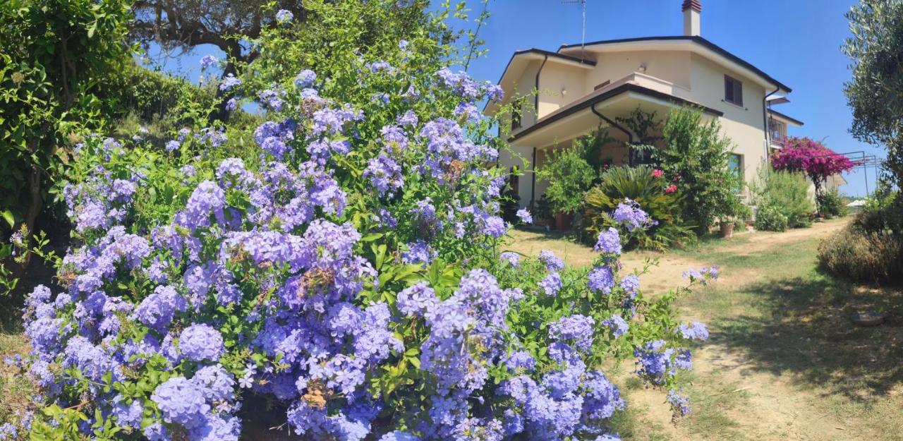 דירות Pollutri La Casa Di Stefania מראה חיצוני תמונה