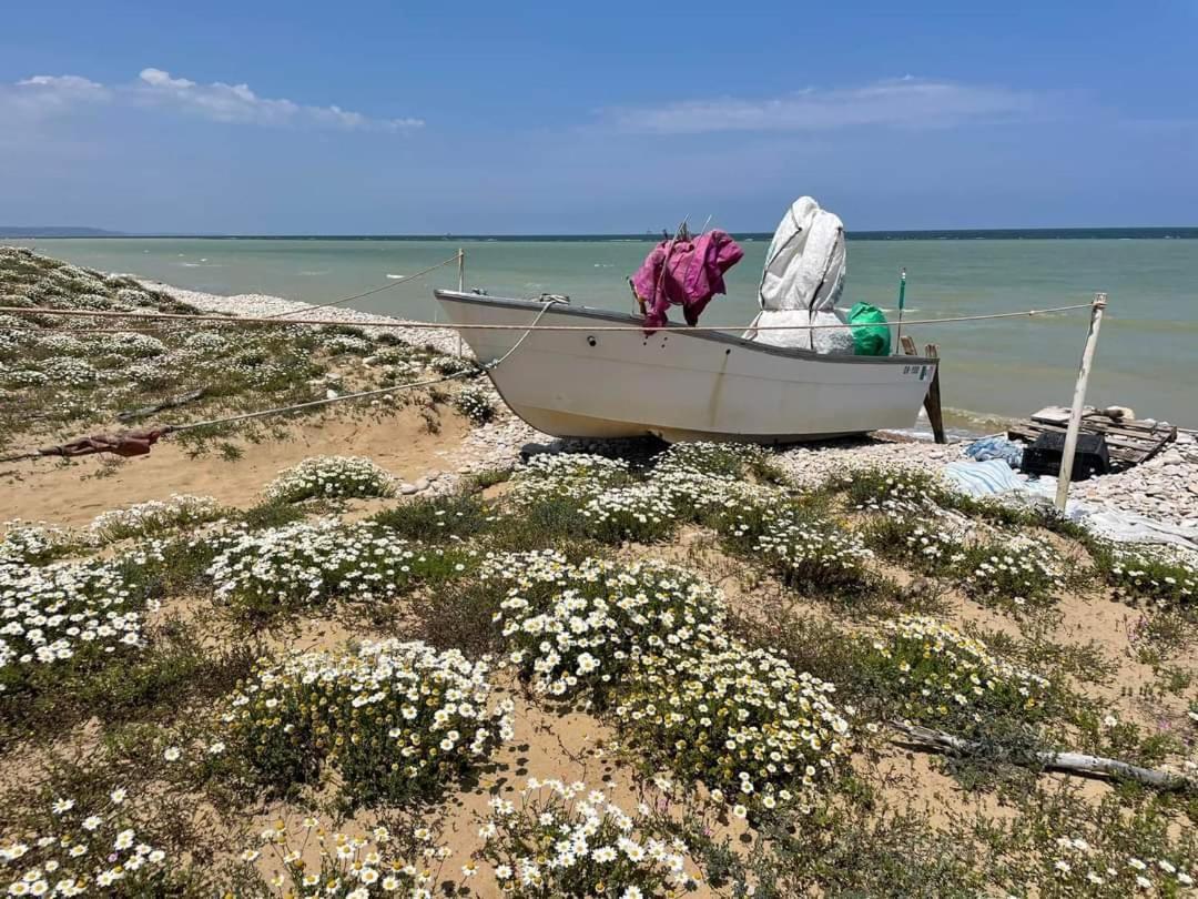 דירות Pollutri La Casa Di Stefania מראה חיצוני תמונה