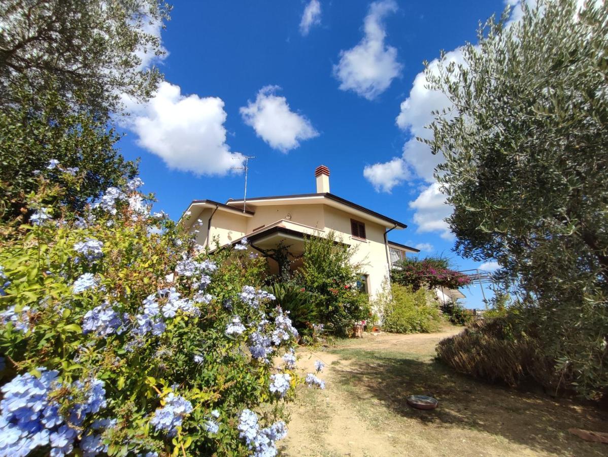 דירות Pollutri La Casa Di Stefania מראה חיצוני תמונה