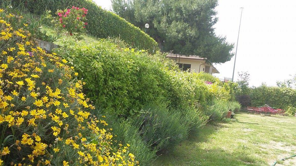דירות Pollutri La Casa Di Stefania מראה חיצוני תמונה
